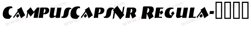 CampusCapsNr Regula字体转换